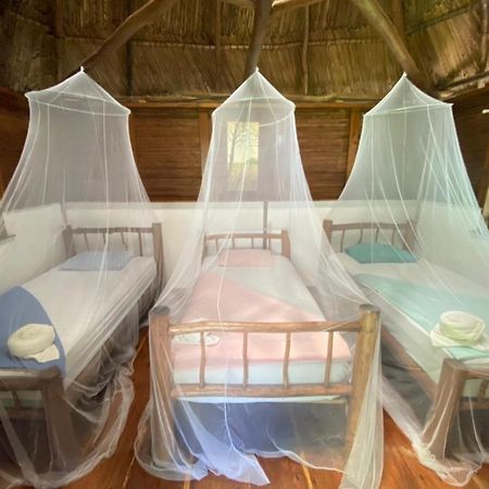 Casa De La Iguana Hostel Lívingston Εξωτερικό φωτογραφία