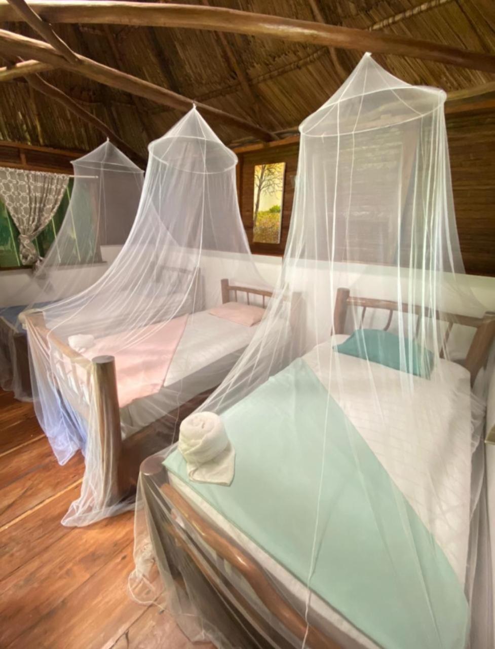 Casa De La Iguana Hostel Lívingston Εξωτερικό φωτογραφία