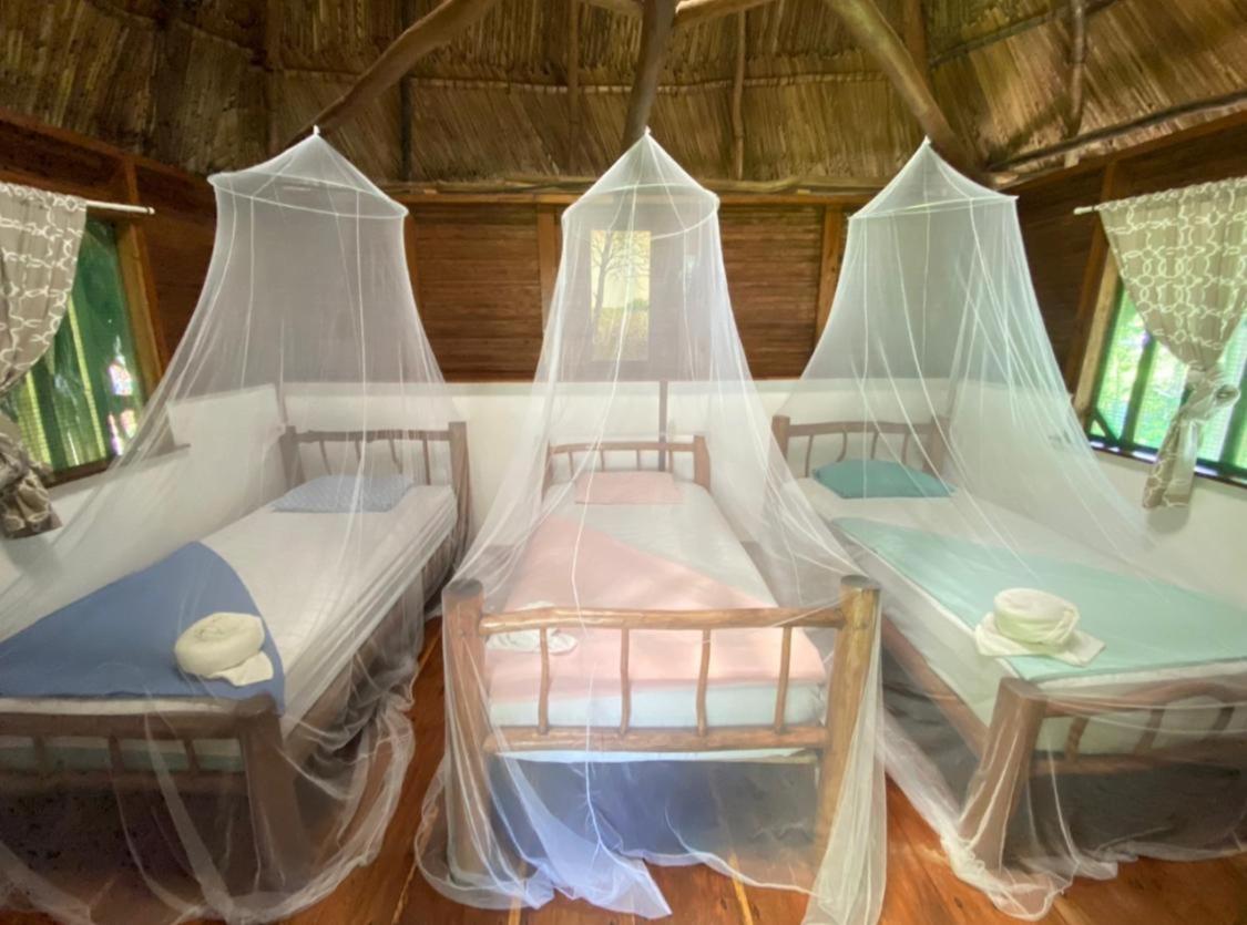 Casa De La Iguana Hostel Lívingston Εξωτερικό φωτογραφία