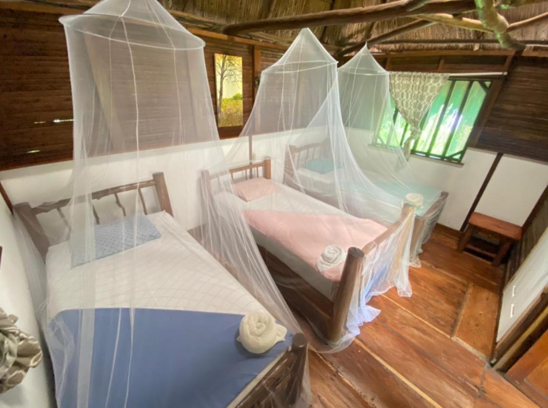 Casa De La Iguana Hostel Lívingston Εξωτερικό φωτογραφία